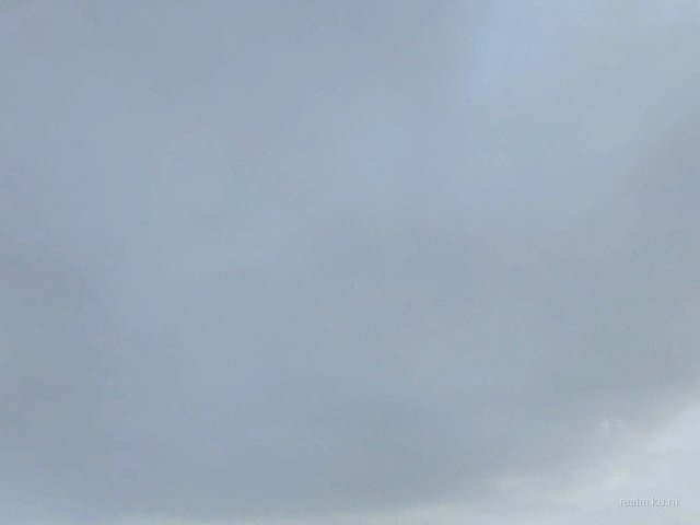 dm_painmek_gwp_v2 thumb 31