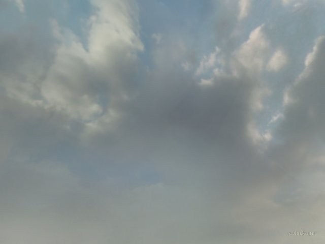 dm_roaches_wc thumb 3