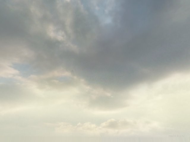 dm_roaches_wc thumb 9