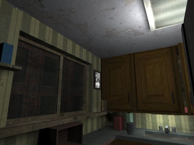 dm_roaches_wc thumb 10