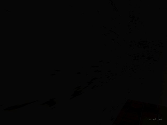 dm_swally_oasis thumb 13