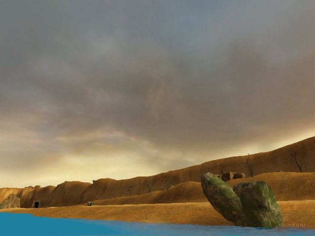 dm_swally_oasis thumb 3