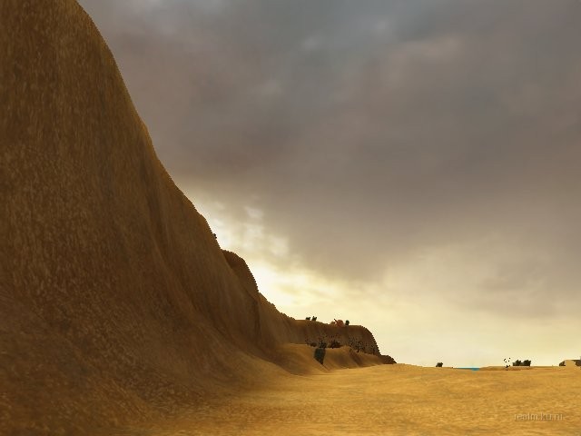 dm_swally_oasis thumb 12