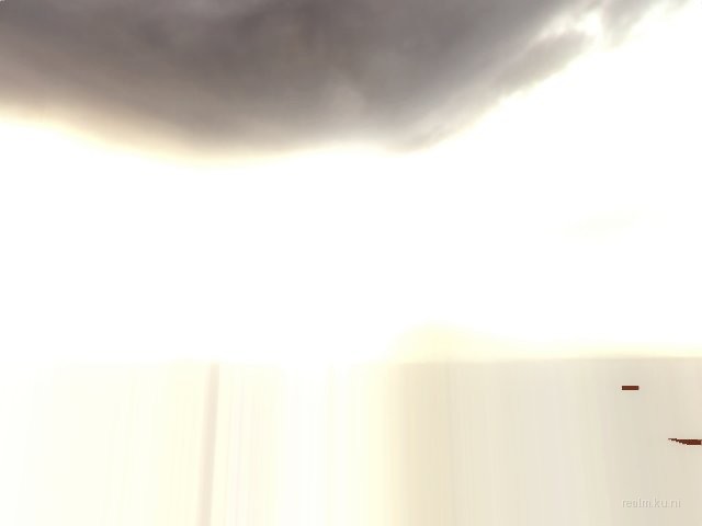 dm_xenarium_prefinal thumb 11