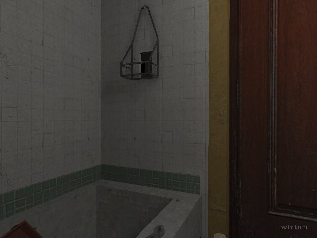 dm_roaches_wc thumb 19