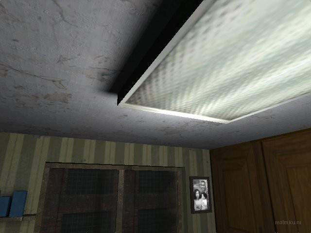 dm_roaches_wc thumb 55