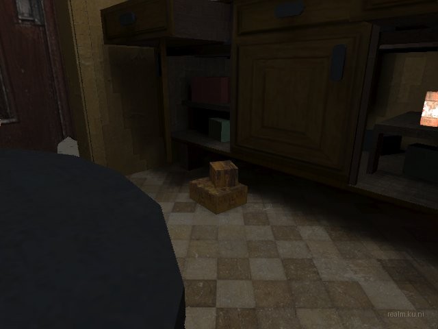 dm_roaches_wc thumb 63