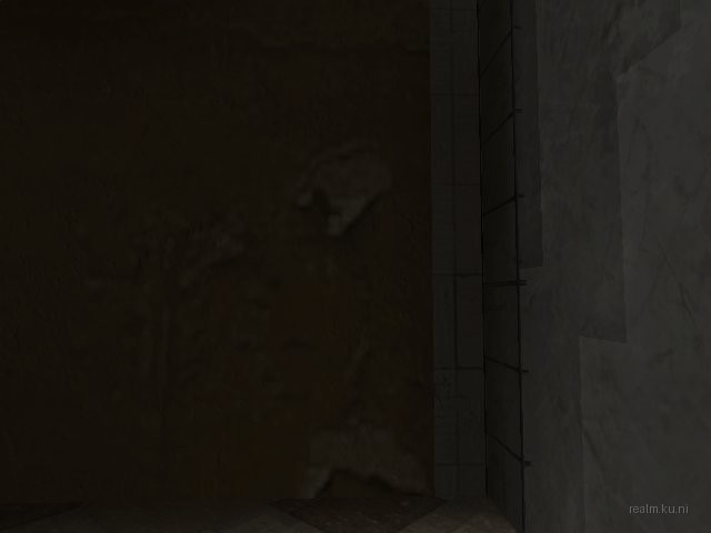 dm_roaches_wc thumb 76