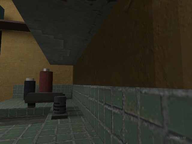 dm_roaches_wc thumb 31