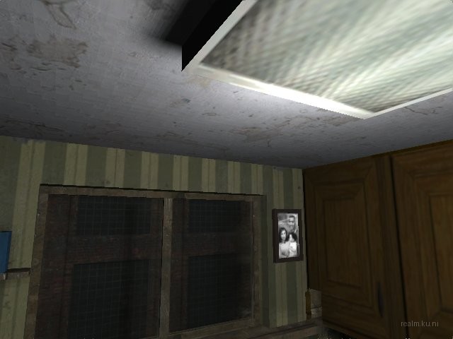 dm_roaches_wc thumb 74