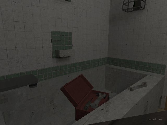 dm_roaches_wc thumb 24