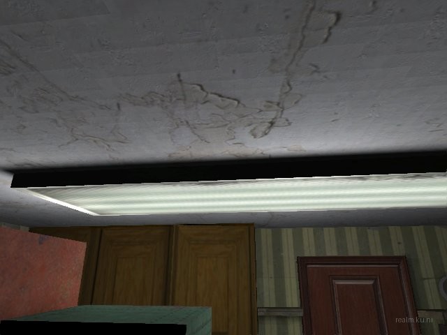dm_roaches_wc thumb 46