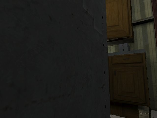 dm_roaches_wc thumb 3