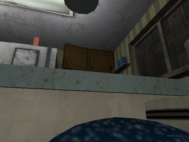 dm_roaches_wc thumb 65