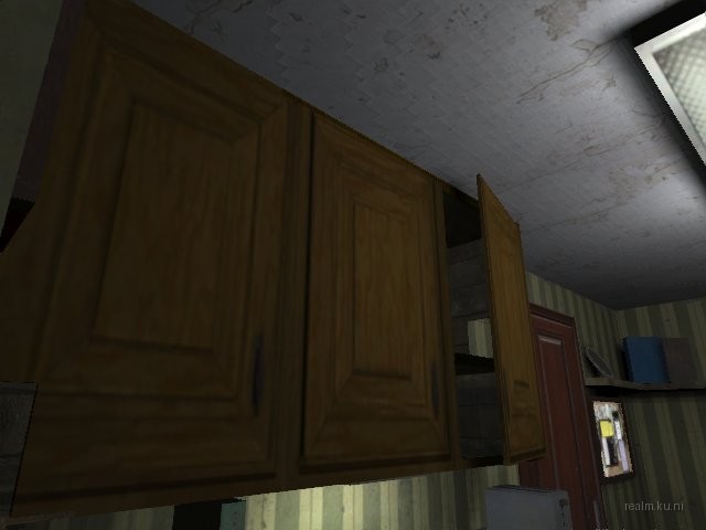 dm_roaches_wc thumb 16
