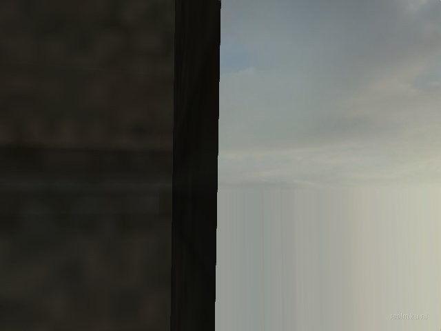 dm_roaches_wc thumb 34