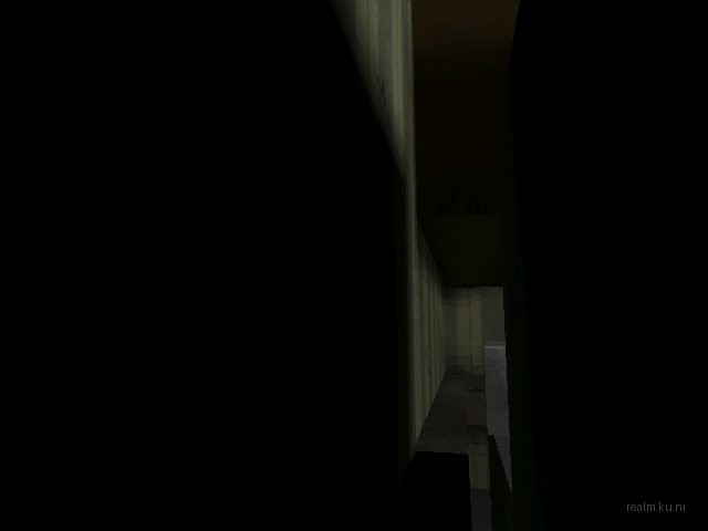 dm_roaches_wc thumb 33