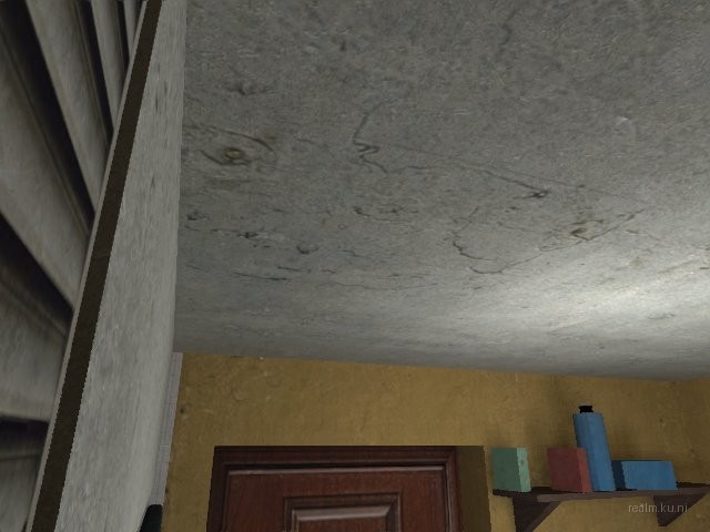 dm_roaches_wc thumb 11