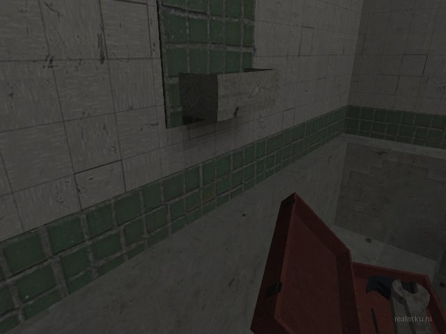 dm_roaches_wc thumb 78