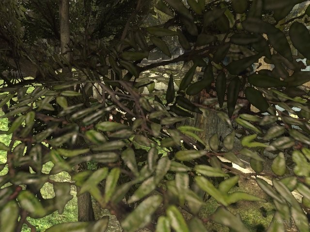 dm_ghettoquad_r6 thumb 11