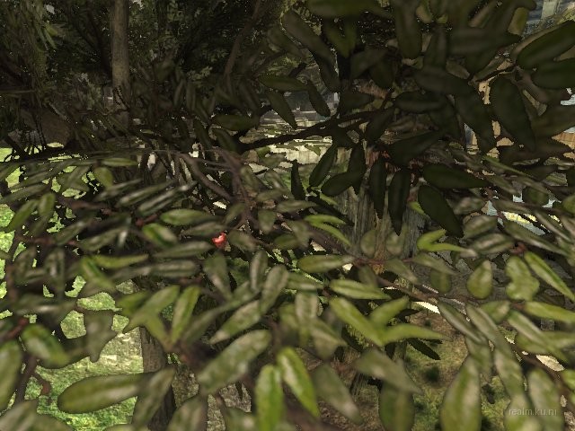 dm_ghettoquad_r6 thumb 8