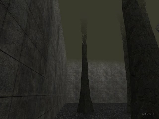 bifurcation_1_hl2mp_ru thumb 47