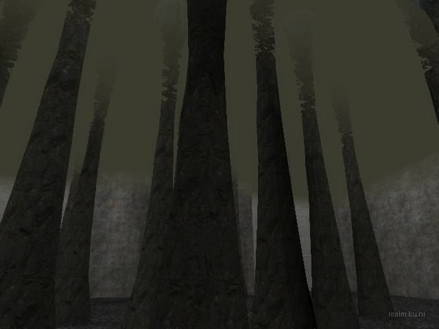 bifurcation_1_hl2mp_ru thumb 69