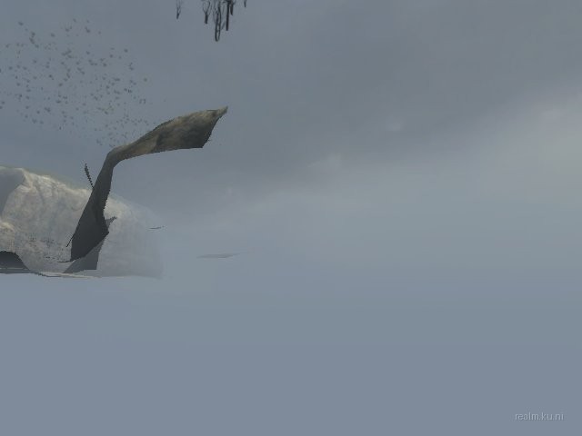 d2_coast_04 thumb 44