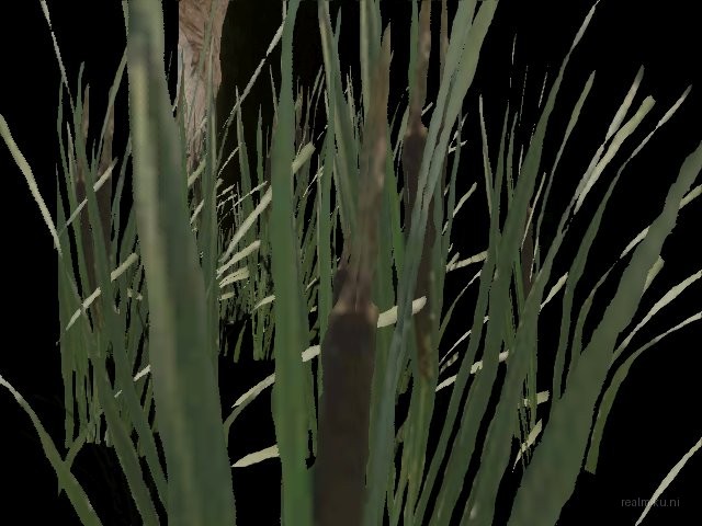 synb2_a_place_to_die thumb 6