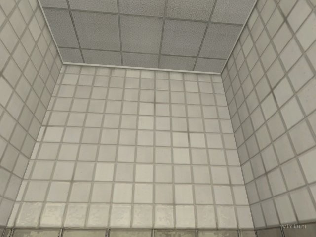 rp_gayc thumb 41