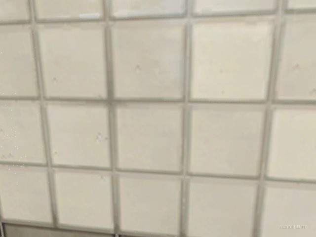 rp_gayc thumb 13