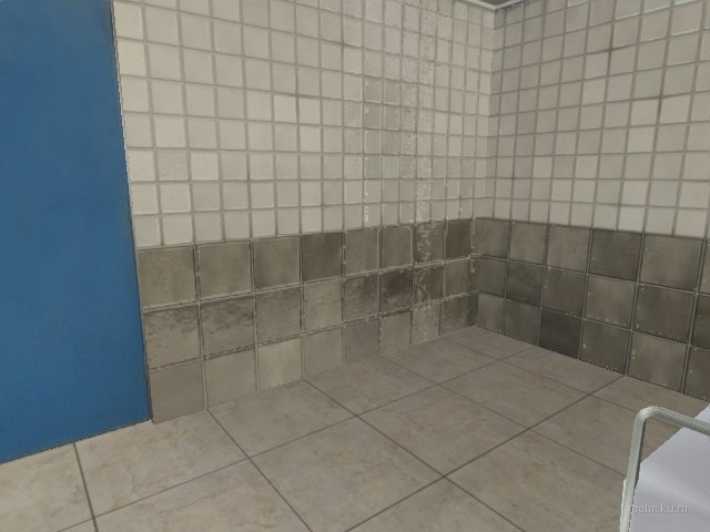 rp_gayc thumb 9