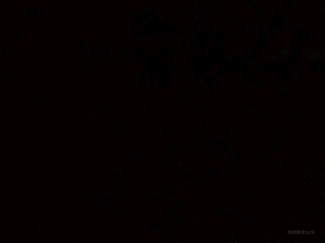 rp_home2007_beta5_5 thumb 22