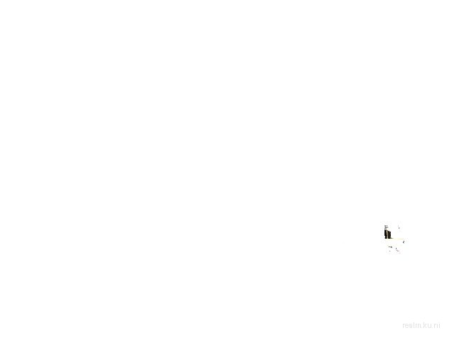 syn_burlybrawl thumb 25