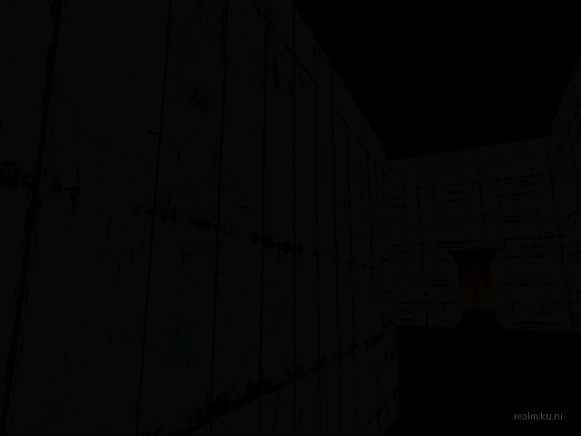 te_lion thumb 16