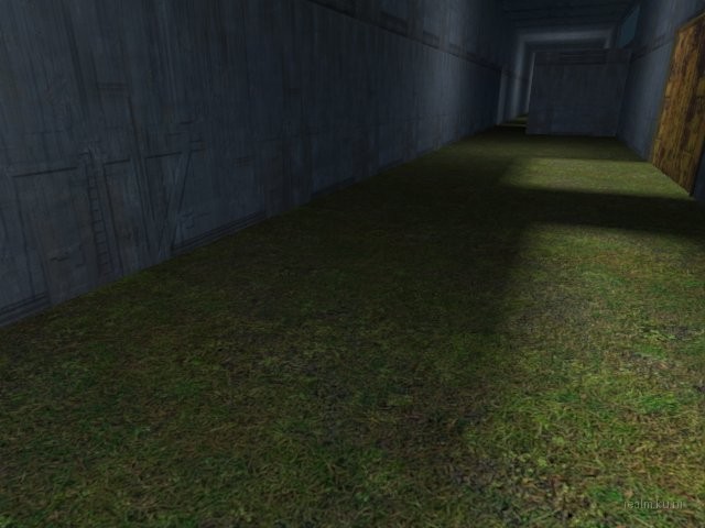 te_muscle thumb 27