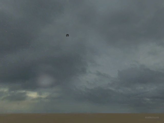 z_harrier2_f thumb 12