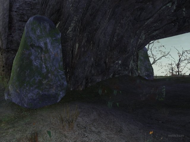 dm_avalon thumb 19