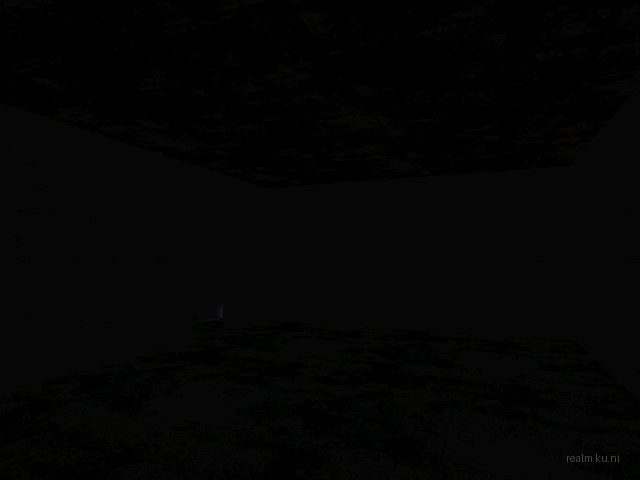dm_yyyy thumb 4