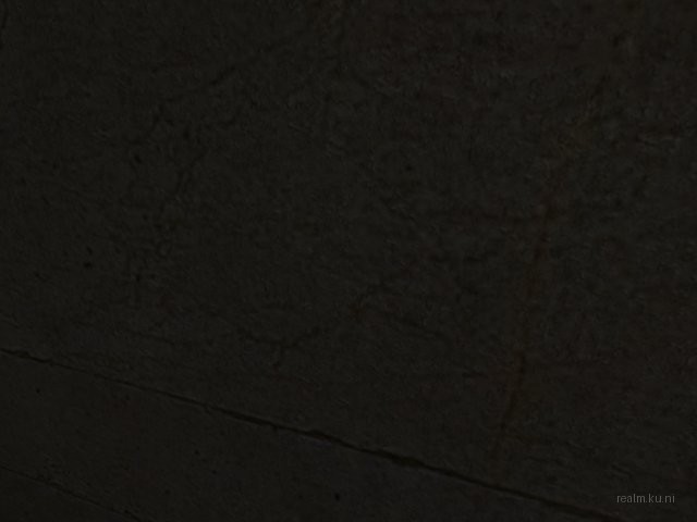 dm_alamo thumb 7