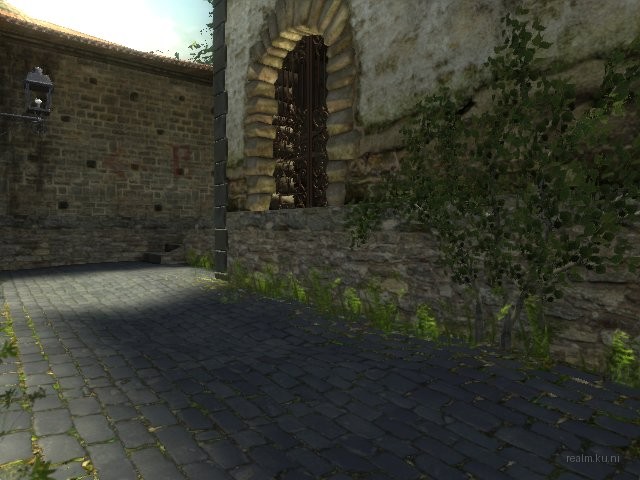 dm_corse thumb 23