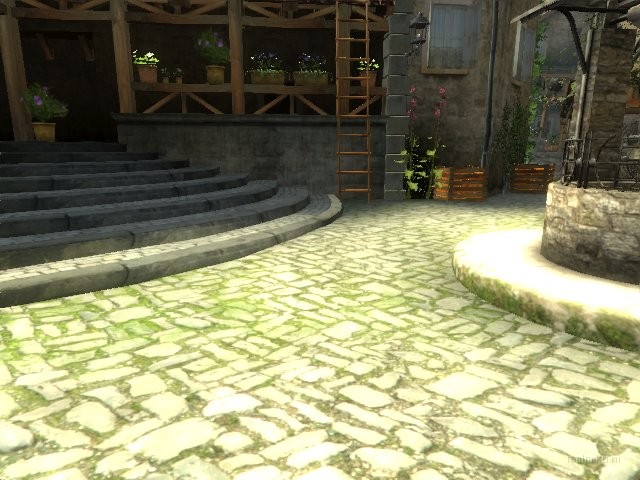 dm_corse thumb 6