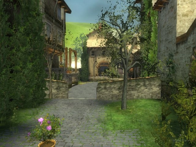 dm_corse thumb 7