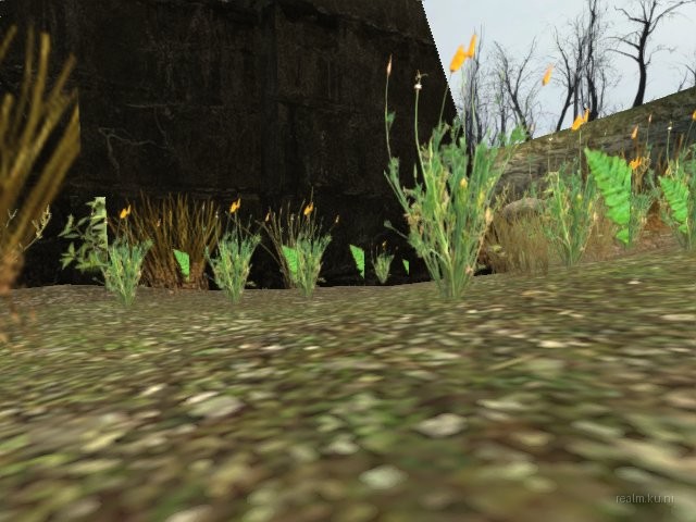 dm_runoff2_bybrain_beta1 thumb 27