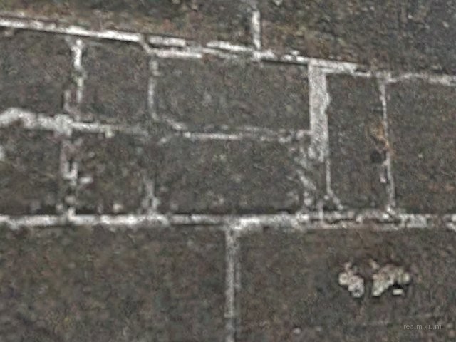 dm_bagel_v1 thumb 16