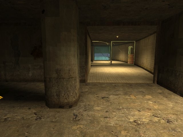 dm_biohazard_cal thumb 5