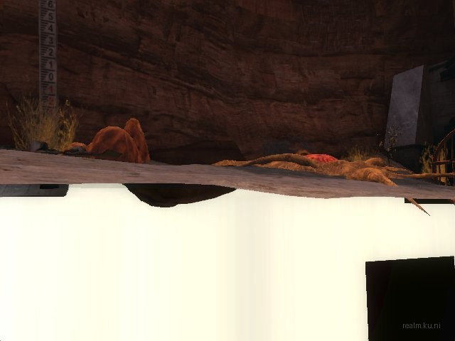 dm_bounce_spv2 thumb 20