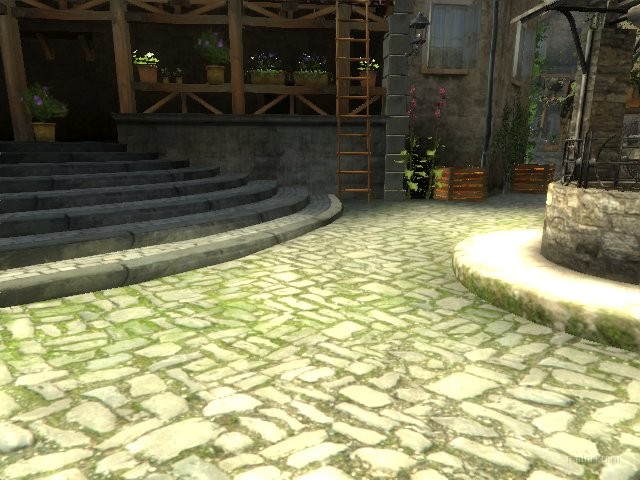 dm_corse thumb 6