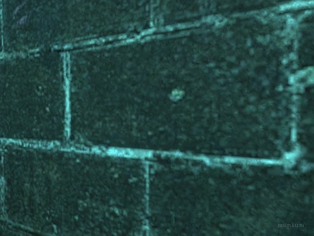 dm_decoy_cu thumb 10