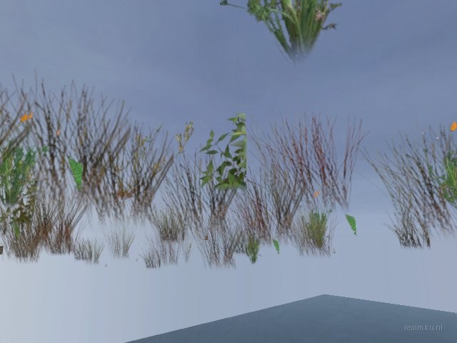 dm_island17 thumb 6